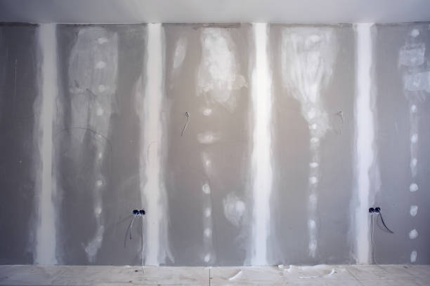 Best Drywall Installation  in North Fork, AZ